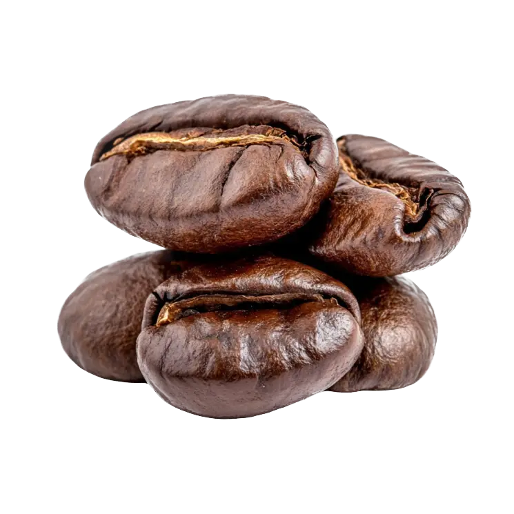 Discover the Best Brazilian Coffee for Your Business