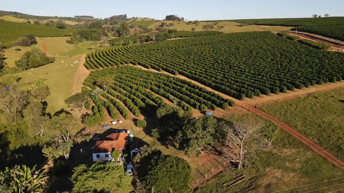 An aerial view of a sprawling coffee plantation with a farmhouse nestled among the fields.