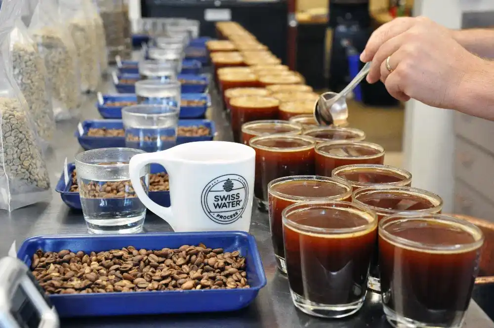 Coffee cupping session.