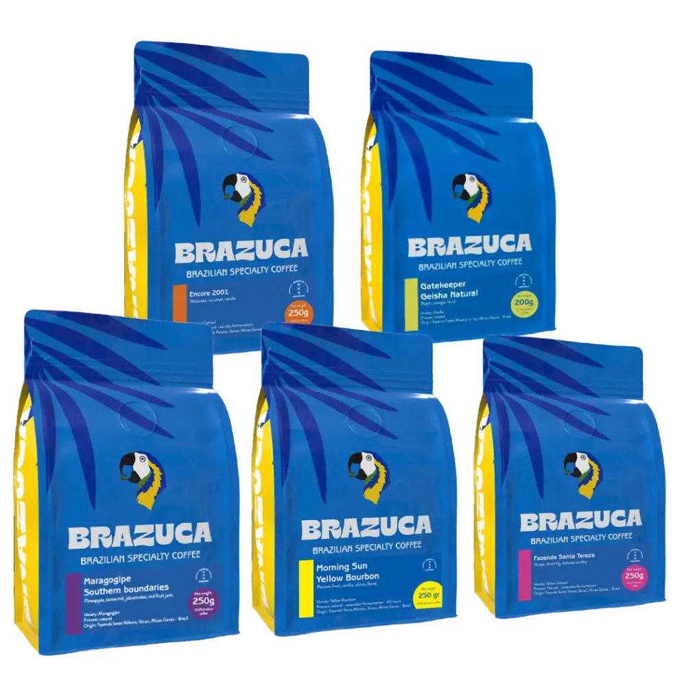 Explore Filter Special Box - Coffee Beans