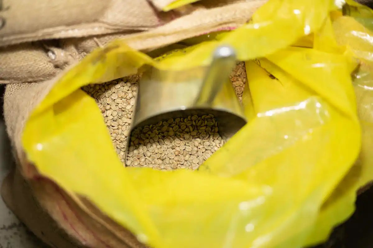 green-coffee-beans-in-yellow-bag