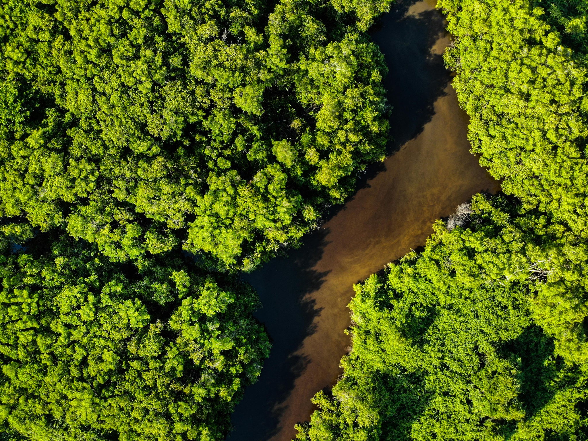 Navigating the Changing World of Coffee Industry