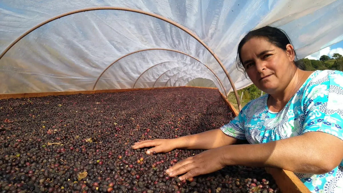 Story behind the bean