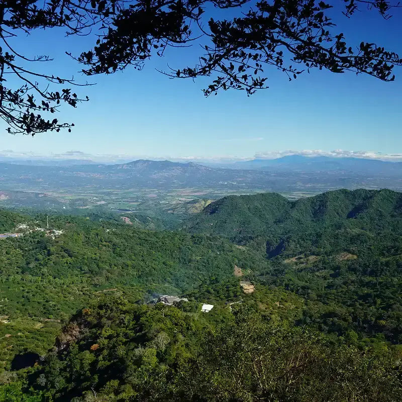 Lush green mountain range under a clear blue sky.