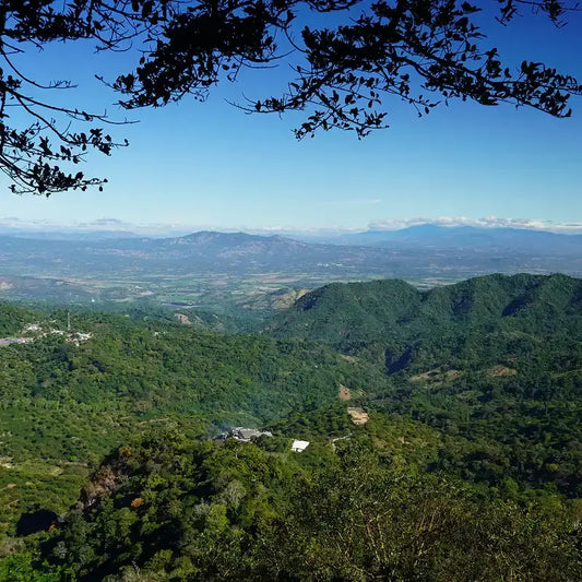 Lush green mountain range under a clear blue sky.