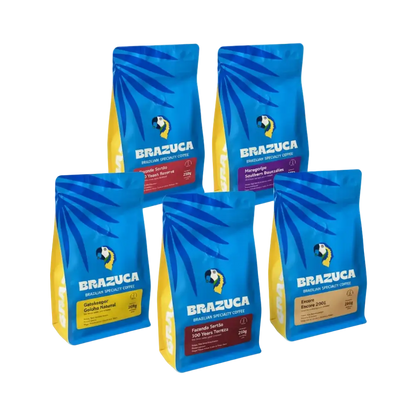Filter box Specialty Coffee