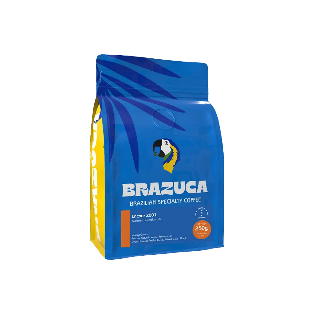 Explore Filter Special Box - Coffee Beans