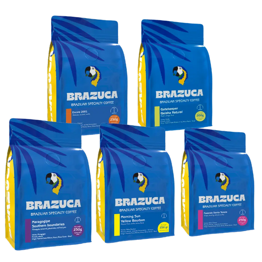 Explore Filter Special Box - Coffee Beans