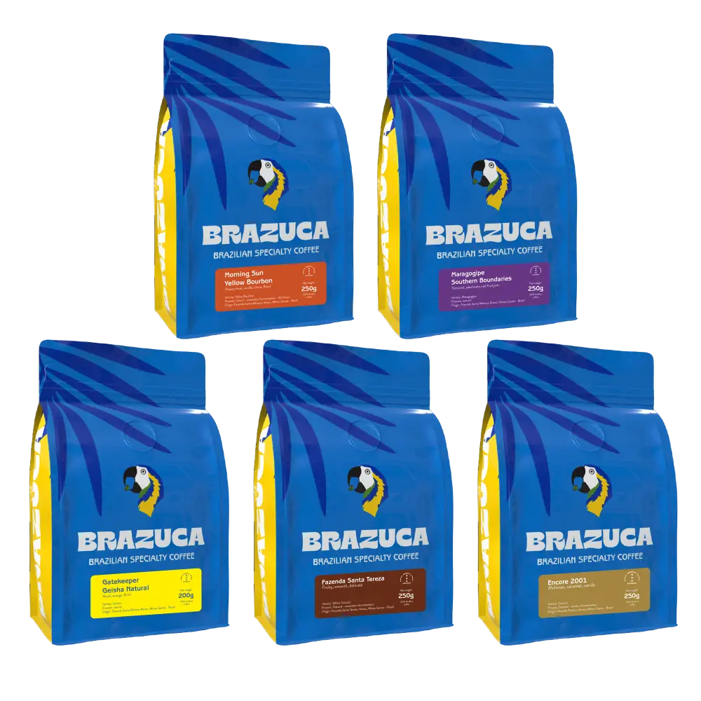 Explore Filter Special Box - Coffee Beans