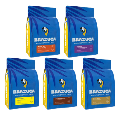 Explore Filter Special Box - Coffee Beans