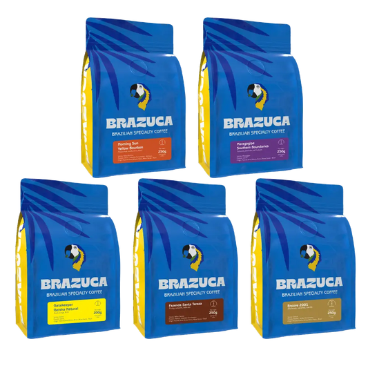 Explore Filter Special Box - Coffee Beans