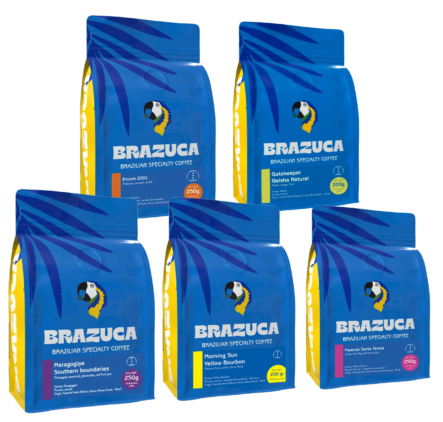 Explore the world of specialty coffee with Brazuca’s tasting packs