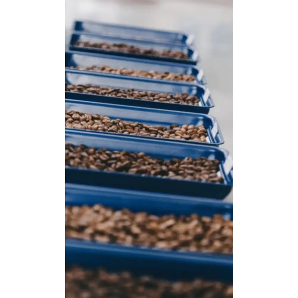 Swiss Water Decaf Coffee - Coffee Beans
