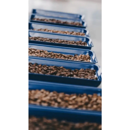 Swiss Water Decaf Coffee - Coffee Beans